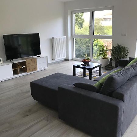 Ferienwohnung „Frosch“ Neukirchen-Balbini المظهر الخارجي الصورة